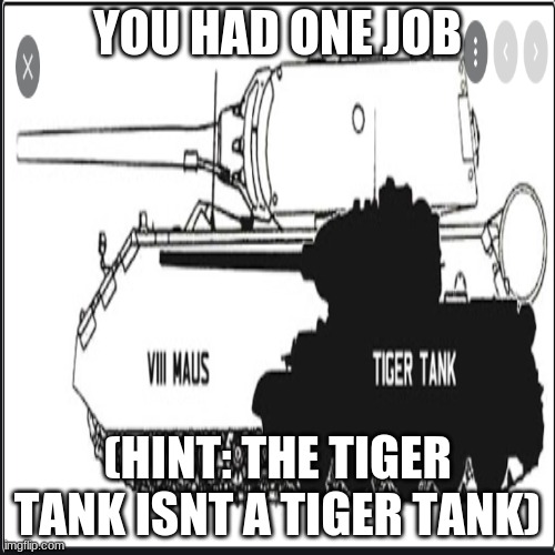 DUDE | YOU HAD ONE JOB; (HINT: THE TIGER TANK ISNT A TIGER TANK) | image tagged in bruh,tanks,incorrect,diwhy,you had one job | made w/ Imgflip meme maker