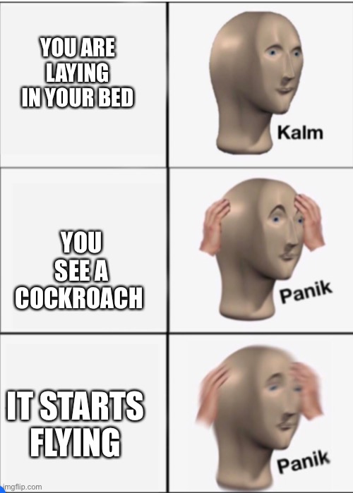 Kalm Panik Panik | YOU ARE LAYING IN YOUR BED; YOU SEE A COCKROACH; IT STARTS FLYING | image tagged in kalm panik panik | made w/ Imgflip meme maker