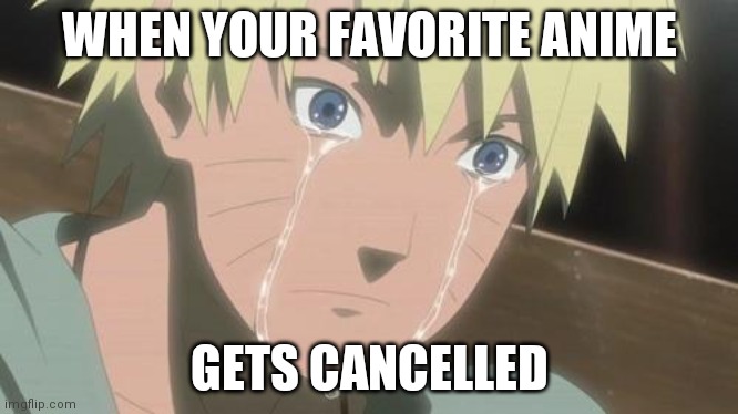 Been a while since i posted on this stream (if i did at all lol) | WHEN YOUR FAVORITE ANIME; GETS CANCELLED | image tagged in finishing anime | made w/ Imgflip meme maker