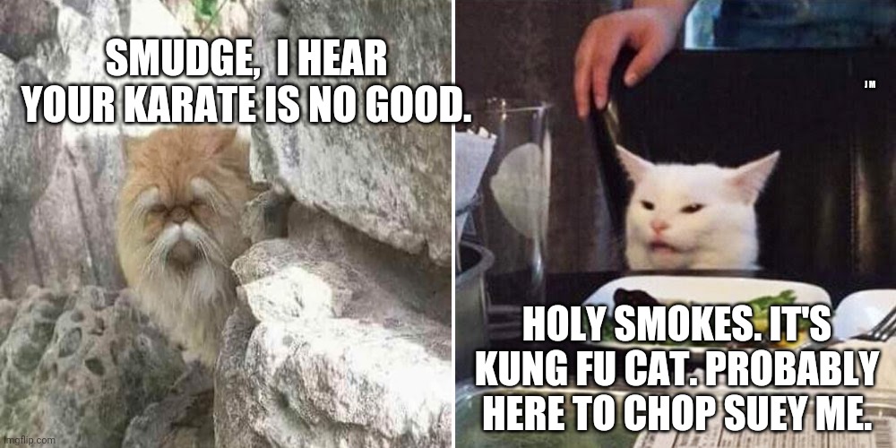 SMUDGE,  I HEAR YOUR KARATE IS NO GOOD. J M; HOLY SMOKES. IT'S KUNG FU CAT. PROBABLY HERE TO CHOP SUEY ME. | image tagged in smudge the cat | made w/ Imgflip meme maker