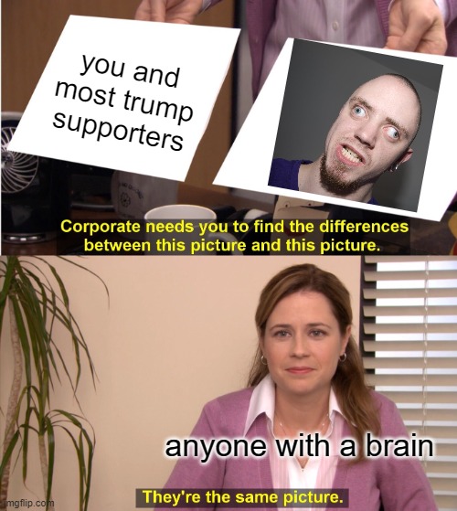 They're The Same Picture Meme | you and most trump supporters anyone with a brain | image tagged in memes,they're the same picture | made w/ Imgflip meme maker
