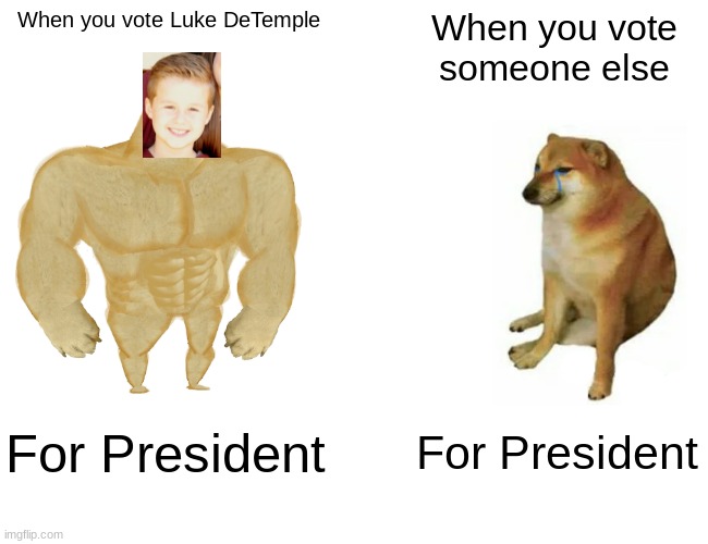 President poster | When you vote Luke DeTemple; When you vote someone else; For President; For President | image tagged in memes,buff doge vs cheems | made w/ Imgflip meme maker