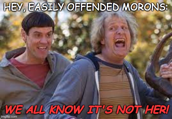 We Know | HEY, EASILY OFFENDED MORONS:; WE ALL KNOW IT'S NOT HER! | image tagged in no kidding | made w/ Imgflip meme maker