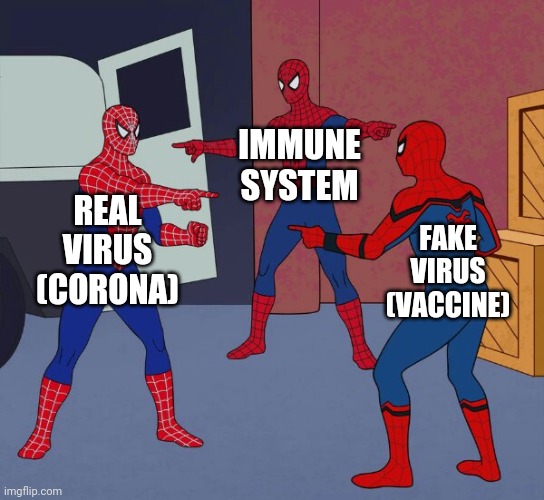 Mass Vaccination | IMMUNE
SYSTEM; REAL
VIRUS
(CORONA); FAKE
VIRUS
(VACCINE) | image tagged in spider man triple | made w/ Imgflip meme maker