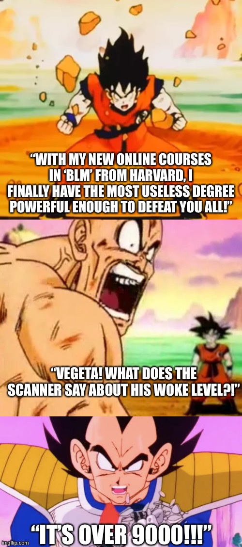 Harvard blm course is garbage | “WITH MY NEW ONLINE COURSES IN ‘BLM’ FROM HARVARD, I FINALLY HAVE THE MOST USELESS DEGREE POWERFUL ENOUGH TO DEFEAT YOU ALL!”; “VEGETA! WHAT DOES THE SCANNER SAY ABOUT HIS WOKE LEVEL?!”; “IT’S OVER 9000!!!” | image tagged in political meme,woke | made w/ Imgflip meme maker