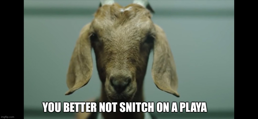 You better not snitch on a playa | YOU BETTER NOT SNITCH ON A PLAYA | image tagged in snitch | made w/ Imgflip meme maker