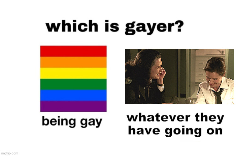 Stream Wentworth on Netflix. | image tagged in which is gayer,vera and joan,wentworth,netflix | made w/ Imgflip meme maker