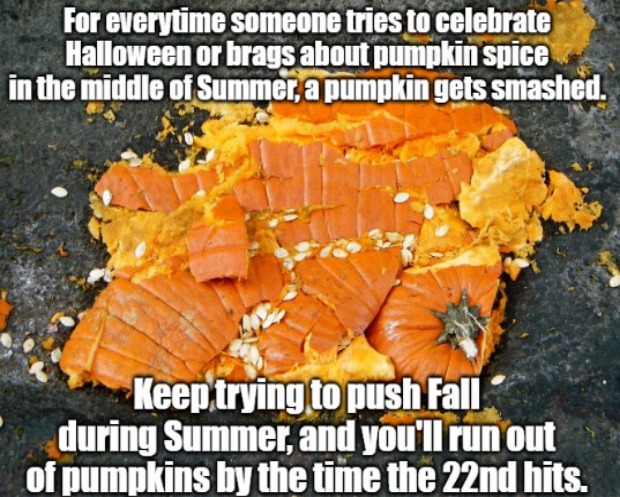 Fall lovers beware | image tagged in summer,autumn | made w/ Imgflip meme maker