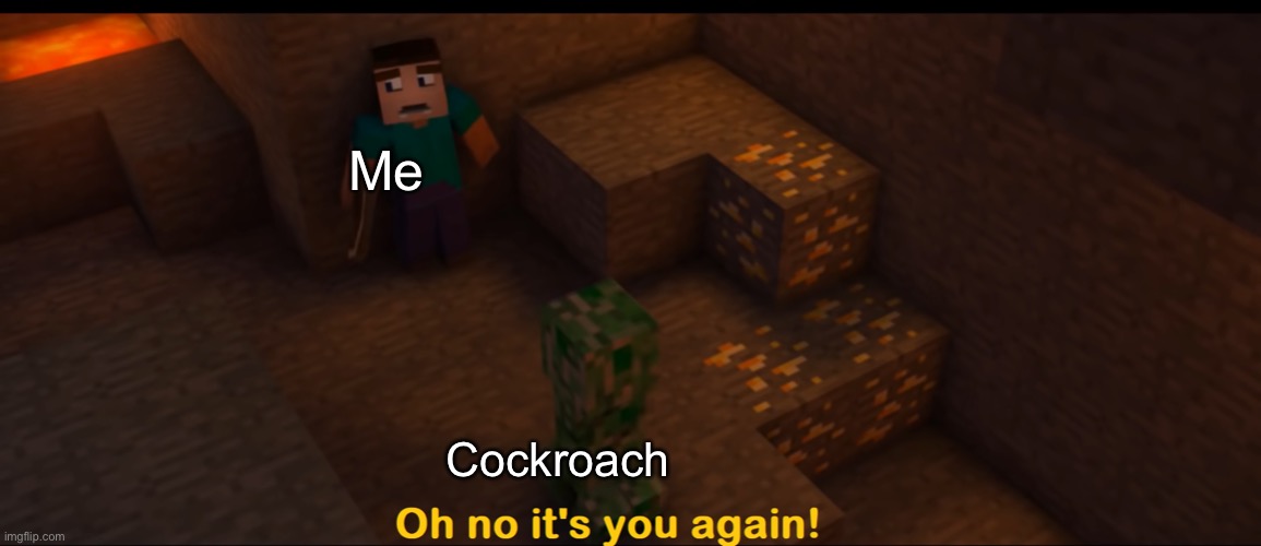 Oh no it's you again! | Me; Cockroach | image tagged in oh no it's you again | made w/ Imgflip meme maker