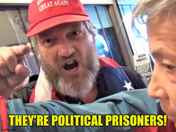Angry Trump Supporter | THEY'RE POLITICAL PRISONERS! | image tagged in angry trump supporter | made w/ Imgflip meme maker