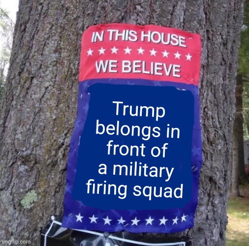 Delusional Trumpers In this house we believe | Trump belongs in front of a military firing squad | image tagged in delusional trumpers in this house we believe | made w/ Imgflip meme maker