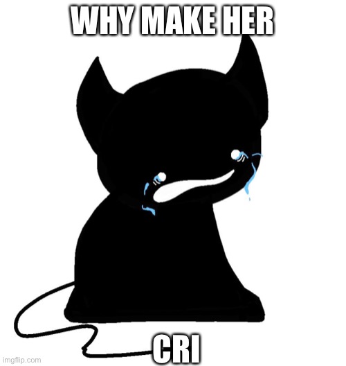 Just a fun image | WHY MAKE HER; CRI | image tagged in fun | made w/ Imgflip meme maker