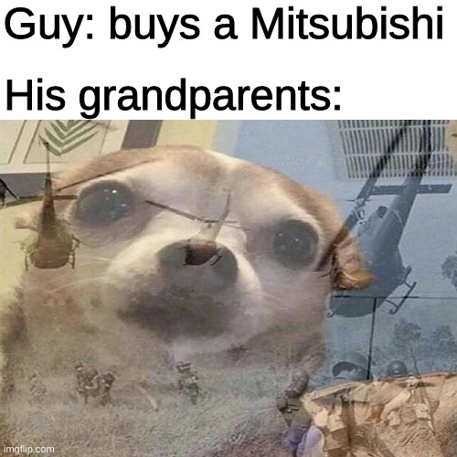  Guy: buys a Mitsubishi; His grandparents: | image tagged in dog,mitsubishi | made w/ Imgflip meme maker