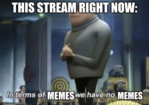 in term of ... we have no ... | THIS STREAM RIGHT NOW:; MEMES; MEMES | image tagged in in term of we have no | made w/ Imgflip meme maker