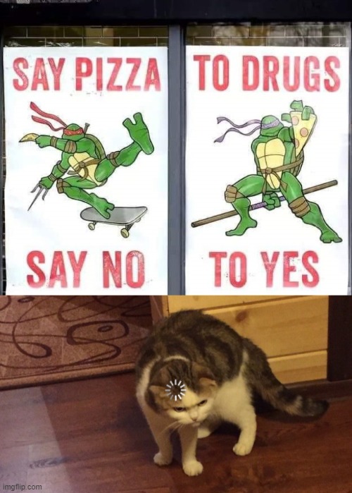 Drugs ? PIZZA ! | image tagged in loading cat,poster,crappy | made w/ Imgflip meme maker