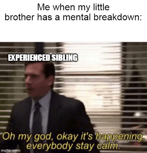 oh my god, okay it's happening, everybody stay calm   i'm not freaking out I'M NOT FREAKING OUT | Me when my little brother has a mental breakdown:; EXPERIENCED SIBLING | image tagged in oh my god okay it's happening everybody stay calm | made w/ Imgflip meme maker