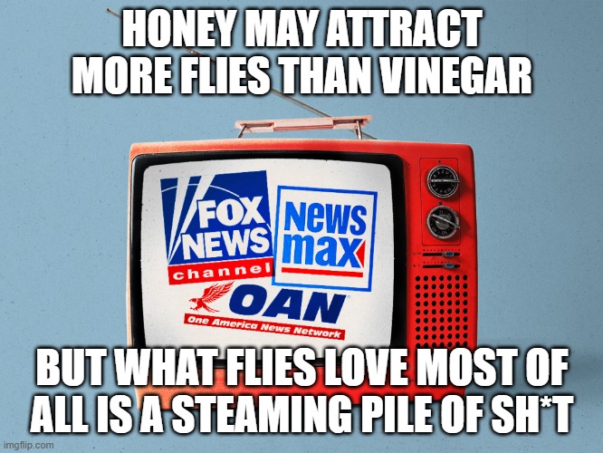 Fox News Is The Most-Watched And Therefore Most Mainstream News There Is | HONEY MAY ATTRACT MORE FLIES THAN VINEGAR; BUT WHAT FLIES LOVE MOST OF ALL IS A STEAMING PILE OF SH*T | image tagged in mainstream media,fox news,extreme,propaganda,misinformation,disinformation | made w/ Imgflip meme maker