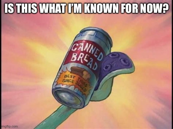 Canned | IS THIS WHAT I’M KNOWN FOR NOW? | image tagged in canned bread | made w/ Imgflip meme maker