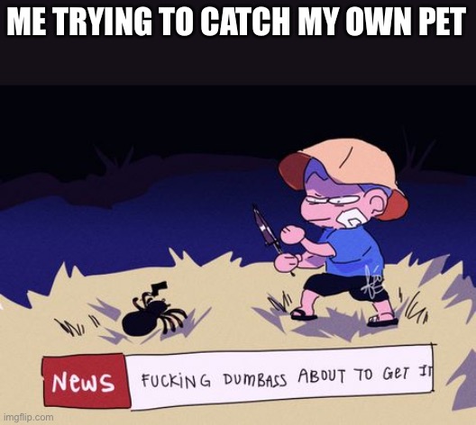 Idk what to name it | ME TRYING TO CATCH MY OWN PET | image tagged in memes,animal crossing,spider,pets | made w/ Imgflip meme maker