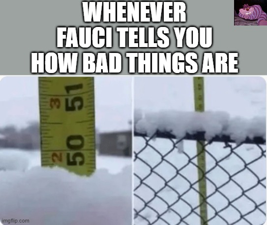 Even weathermen are right more often than Fauci. | WHENEVER FAUCI TELLS YOU HOW BAD THINGS ARE | image tagged in fake news | made w/ Imgflip meme maker