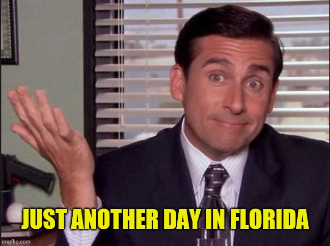 Michael Scott | JUST ANOTHER DAY IN FLORIDA | image tagged in michael scott | made w/ Imgflip meme maker