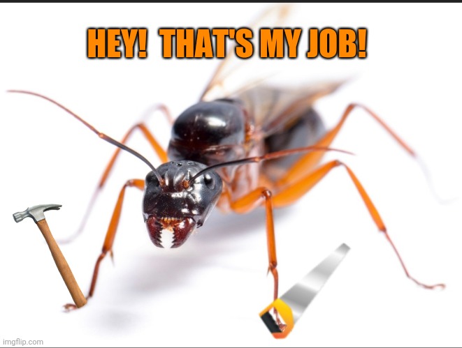 HEY!  THAT'S MY JOB! | made w/ Imgflip meme maker