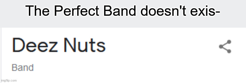 LMAO | The Perfect Band doesn't exis- | image tagged in deez nuts,funni | made w/ Imgflip meme maker