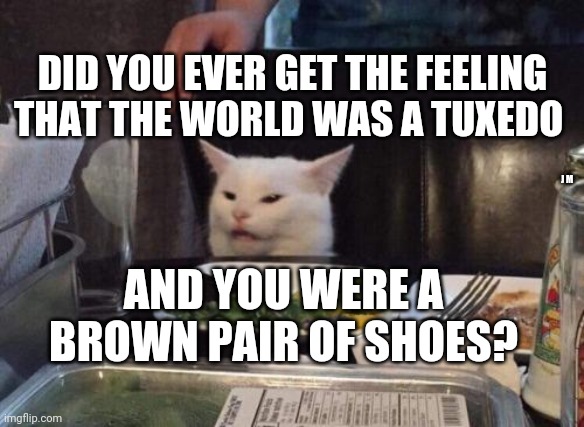 Salad cat | DID YOU EVER GET THE FEELING THAT THE WORLD WAS A TUXEDO; J M; AND YOU WERE A BROWN PAIR OF SHOES? | image tagged in salad cat | made w/ Imgflip meme maker