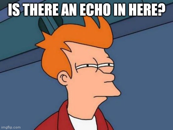 Futurama Fry Meme | IS THERE AN ECHO IN HERE? | image tagged in memes,futurama fry | made w/ Imgflip meme maker