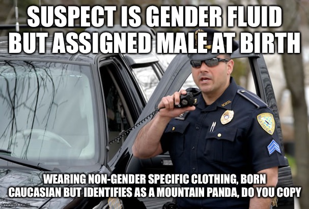 Cop On Radio | SUSPECT IS GENDER FLUID BUT ASSIGNED MALE AT BIRTH; WEARING NON-GENDER SPECIFIC CLOTHING, BORN CAUCASIAN BUT IDENTIFIES AS A MOUNTAIN PANDA, DO YOU COPY | image tagged in cop on radio | made w/ Imgflip meme maker