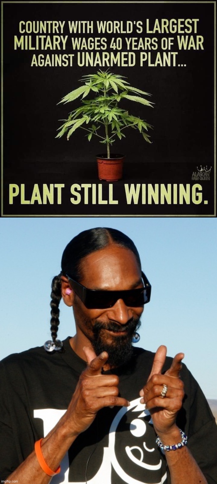 Snoop Dogg Approves | image tagged in plant still winning,snoop dogg approves,weed,smoke weed everyday,smoke weed,war on drugs | made w/ Imgflip meme maker