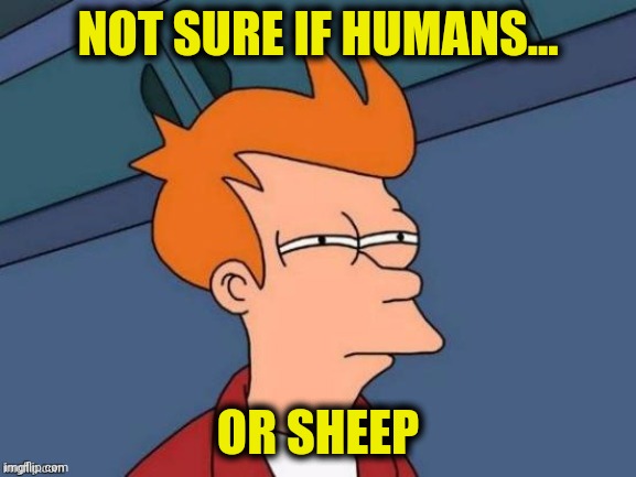 NOT SURE IF HUMANS... OR SHEEP | made w/ Imgflip meme maker