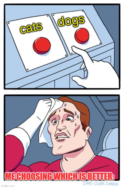 Two Buttons | dogs; cats; ME CHOOSING WHICH IS BETTER: | image tagged in memes,two buttons | made w/ Imgflip meme maker