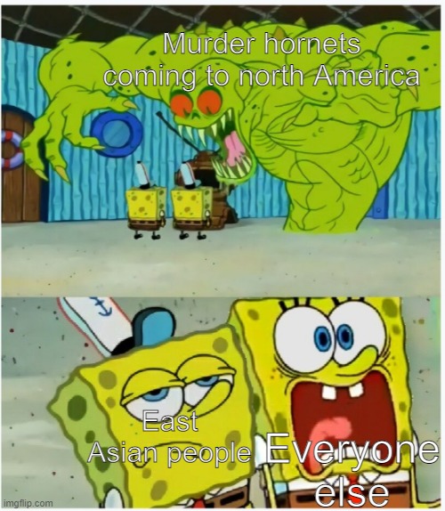 Murder hornets | Murder hornets coming to north America; East Asian people; Everyone else | image tagged in spongebob squarepants scared but also not scared,murder hornet,asians | made w/ Imgflip meme maker