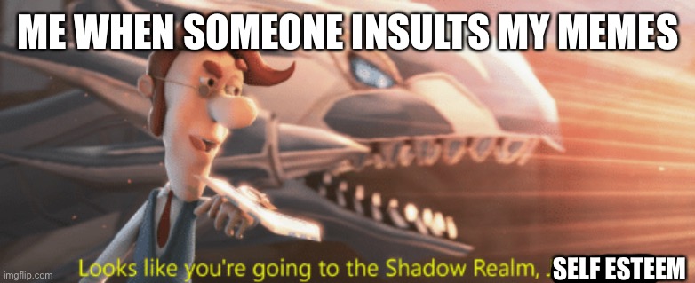 WELP | ME WHEN SOMEONE INSULTS MY MEMES; SELF ESTEEM | image tagged in looks like you're going to the shadow realm jimbo | made w/ Imgflip meme maker