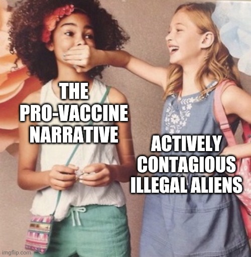 no es bueno | THE PRO-VACCINE NARRATIVE ACTIVELY CONTAGIOUS ILLEGAL ALIENS | image tagged in white girl silencing black girl | made w/ Imgflip meme maker