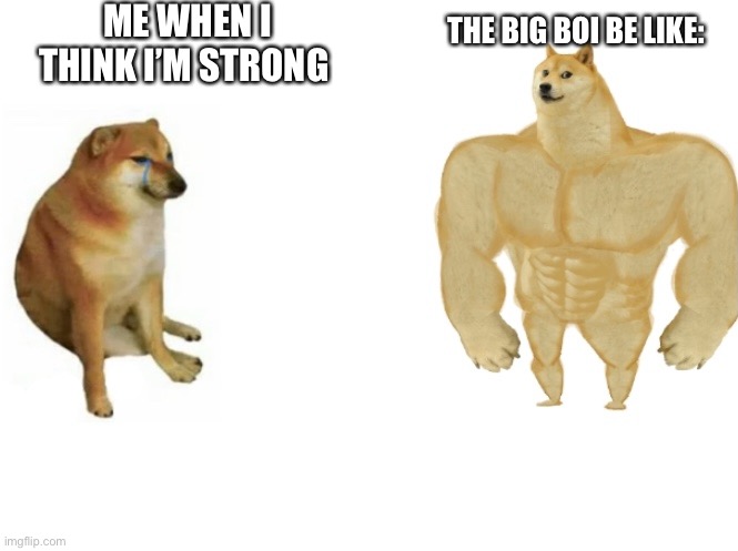 Sister made this | ME WHEN I THINK I’M STRONG; THE BIG BOI BE LIKE: | image tagged in memes | made w/ Imgflip meme maker