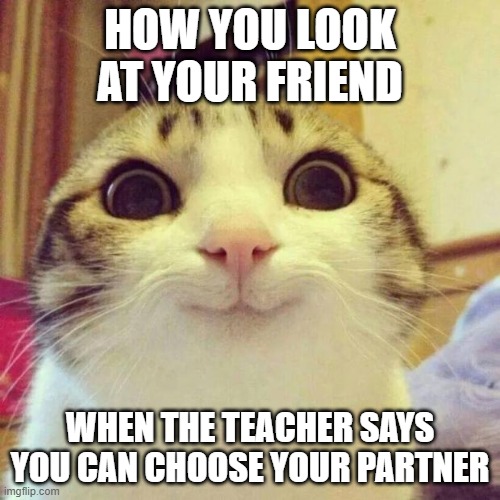 Smiling Cat Meme | HOW YOU LOOK AT YOUR FRIEND; WHEN THE TEACHER SAYS YOU CAN CHOOSE YOUR PARTNER | image tagged in memes,smiling cat | made w/ Imgflip meme maker