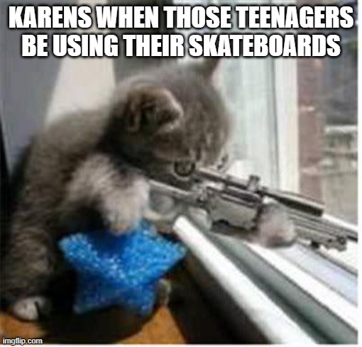 cats with guns |  KARENS WHEN THOSE TEENAGERS BE USING THEIR SKATEBOARDS | image tagged in cats with guns | made w/ Imgflip meme maker
