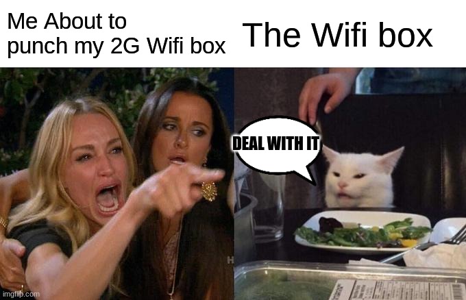 Woman Yelling At Cat Meme | Me About to punch my 2G Wifi box; The Wifi box; DEAL WITH IT | image tagged in memes,woman yelling at cat | made w/ Imgflip meme maker