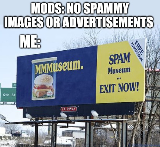 MODS: NO SPAMMY IMAGES OR ADVERTISEMENTS; ME: | image tagged in funny memes | made w/ Imgflip meme maker