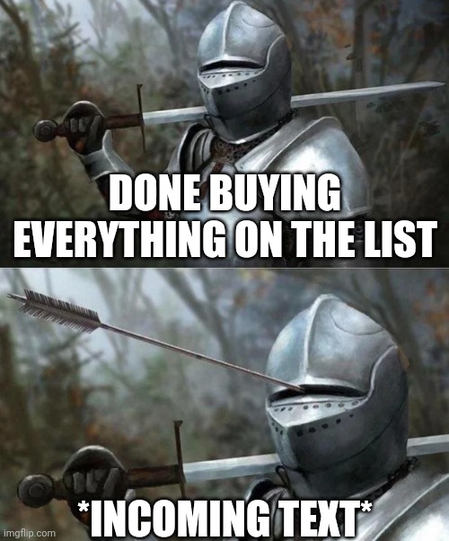 Medieval Knight with Arrow In Eye Slot | DONE BUYING EVERYTHING ON THE LIST; *INCOMING TEXT* | image tagged in medieval knight with arrow in eye slot | made w/ Imgflip meme maker