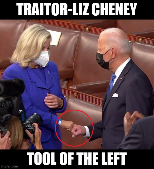 Traitor-Liz Cheney | TRAITOR-LIZ CHENEY; TOOL OF THE LEFT | made w/ Imgflip meme maker