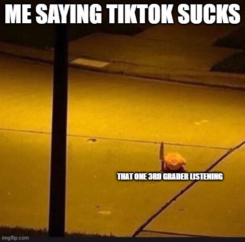 Kirby with Knife (2) |  ME SAYING TIKTOK SUCKS; THAT ONE 3RD GRADER LISTENING | image tagged in kirby with knife 2 | made w/ Imgflip meme maker