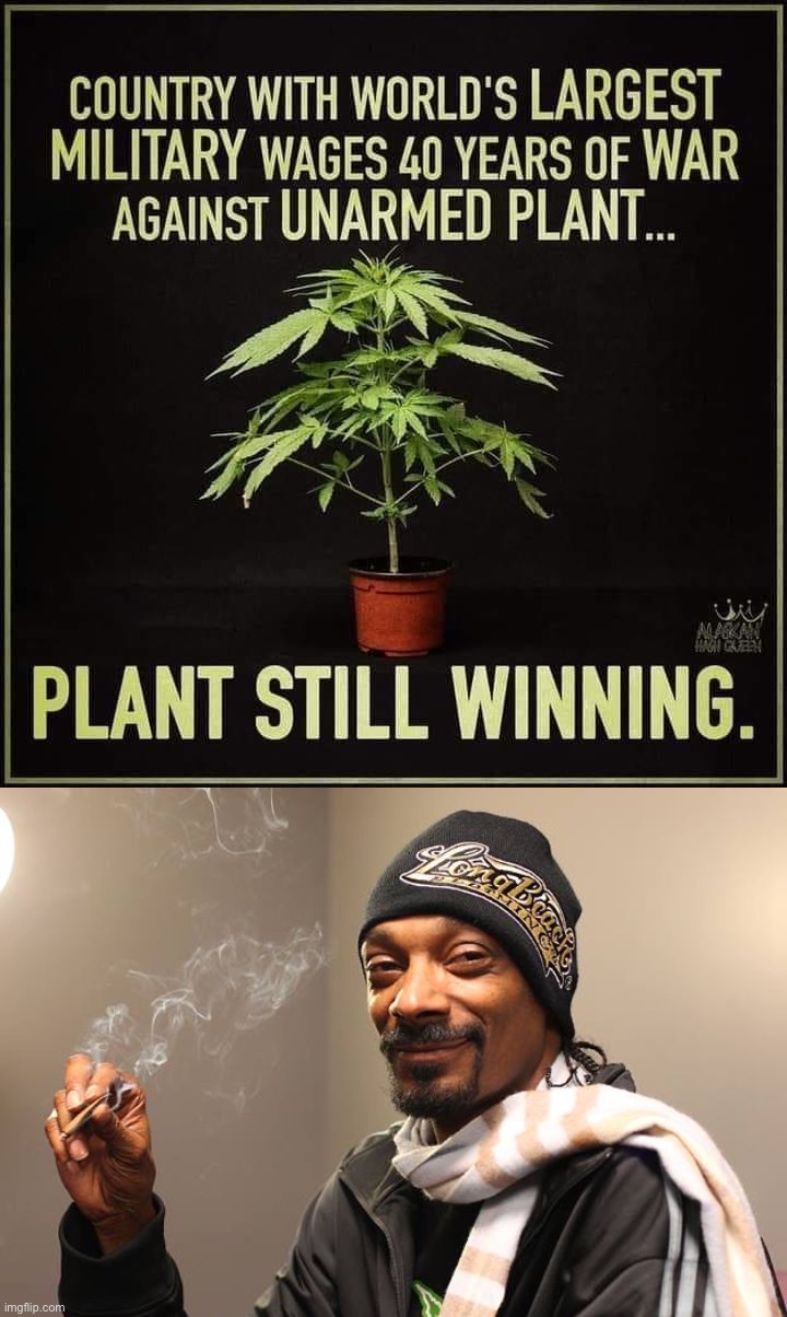 Man, remember when the culture wars used to be about uncontroversial stuff like drugs? | image tagged in plant still winning,snoop dogg,snoop dogg approves,legalize weed,weed,smoke weed everyday | made w/ Imgflip meme maker
