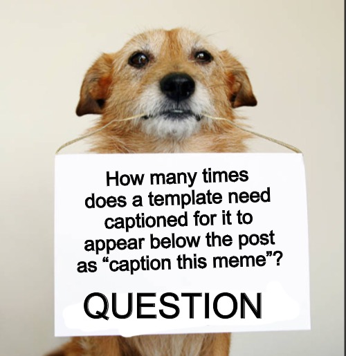 If you get what I’m talking about | How many times does a template need captioned for it to appear below the post as “caption this meme”? QUESTION | image tagged in change my mind dog | made w/ Imgflip meme maker