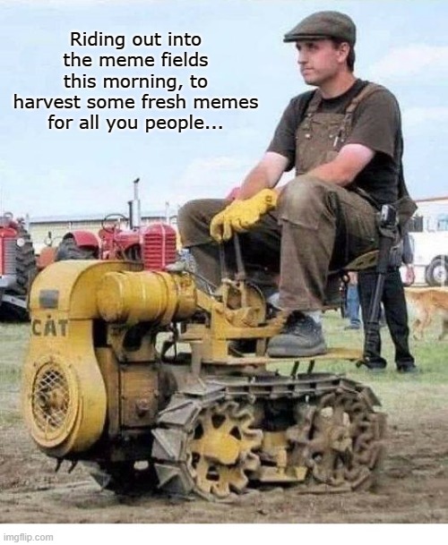 In The Meme Fields | Riding out into the meme fields this morning, to harvest some fresh memes for all you people... | image tagged in harvest,memes | made w/ Imgflip meme maker