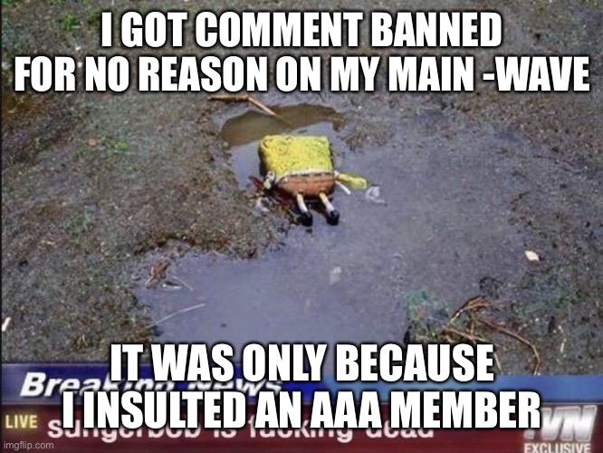 I GOT COMMENT BANNED FOR NO REASON ON MY MAIN -WAVE; IT WAS ONLY BECAUSE I INSULTED AN AAA MEMBER | made w/ Imgflip meme maker