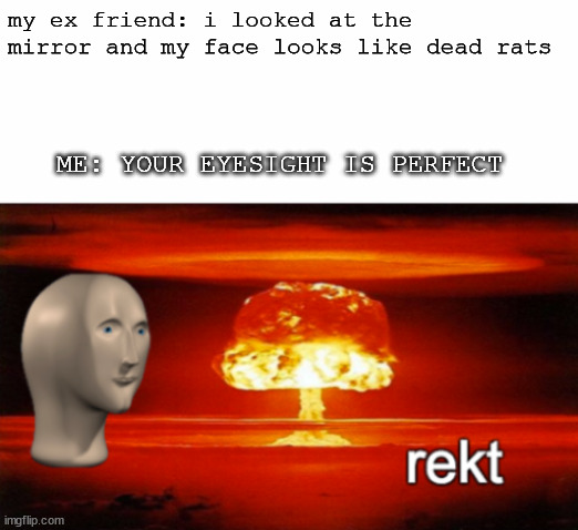 rekt w/text | my ex friend: i looked at the mirror and my face looks like dead rats; ME: YOUR EYESIGHT IS PERFECT | image tagged in rekt w/text | made w/ Imgflip meme maker