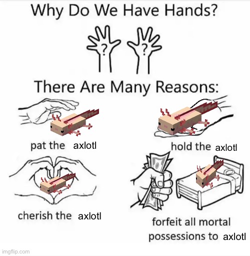 C H E R I S H T H E A X O L O T L | axlotl; axlotl; axlotl; axlotl | image tagged in why do we have hands all blank | made w/ Imgflip meme maker